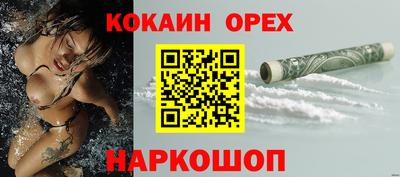 Альфа ПВП Сланцы