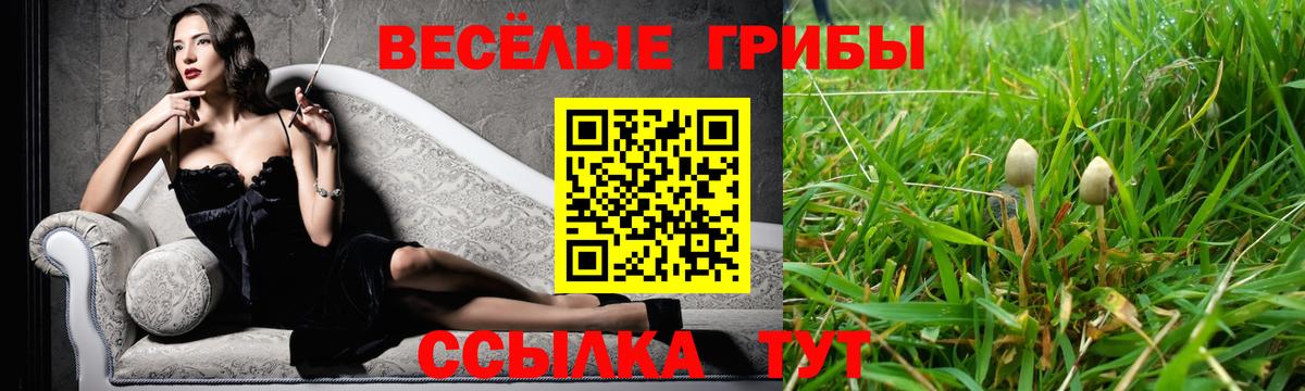 Галлюциногенные грибы мицелий Протвино