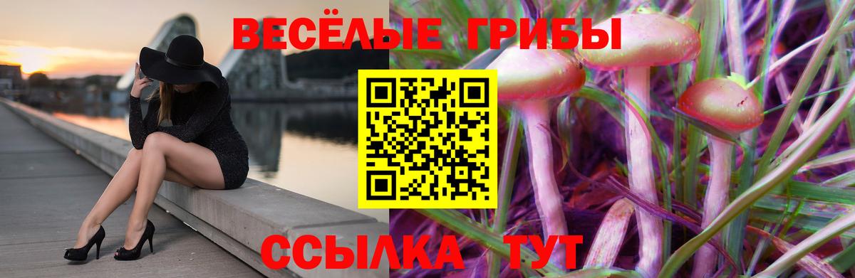 Протвино  Псилоцибиновые грибы мухоморы  Вход с VPN  Псилоцибиновые грибы мицелий 
